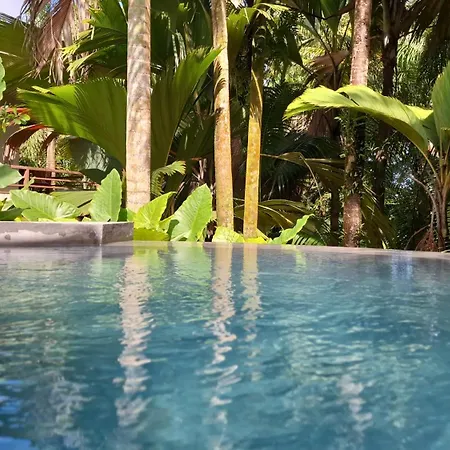 A Peace In Paradise