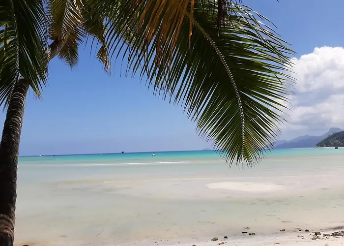 A Peace In Paradise * Anse Royale
