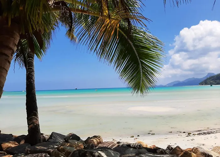Alpstuga A Peace In Paradise Anse Royale