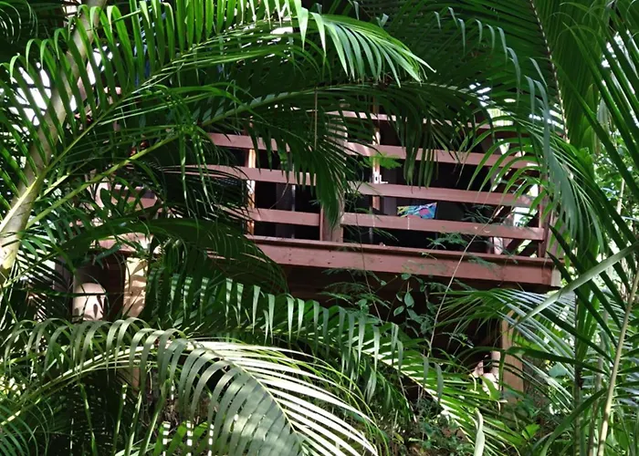 Alpstuga A Peace In Paradise Anse Royale