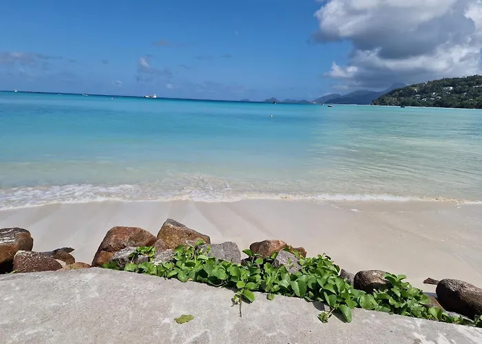 A Peace In Paradise