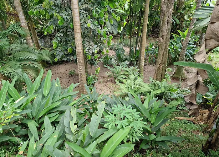 A Peace In Paradise