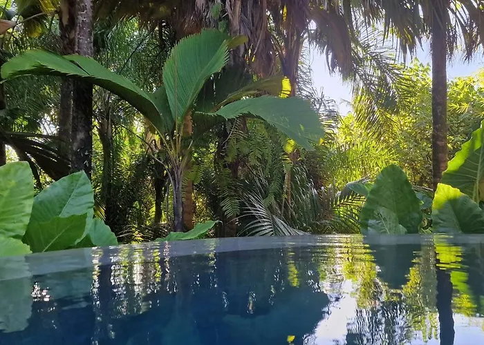 A Peace In Paradise Anse Royale