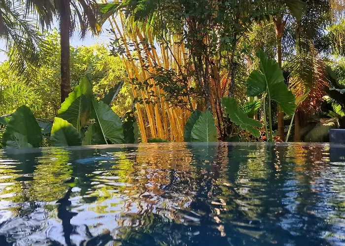 A Peace In Paradise * Anse Royale