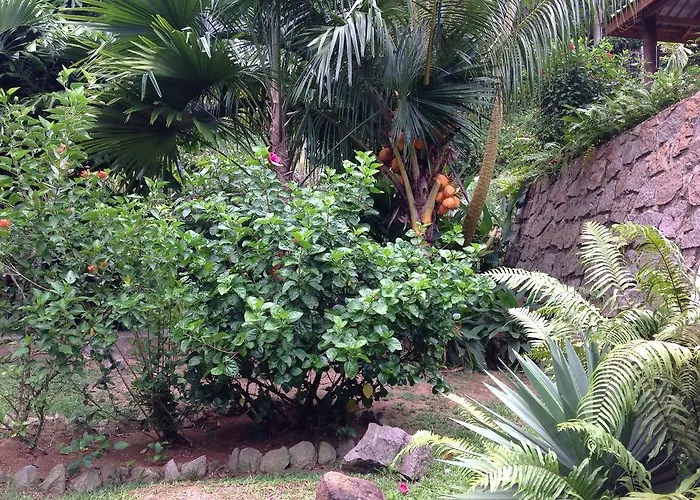 A Peace In Paradise