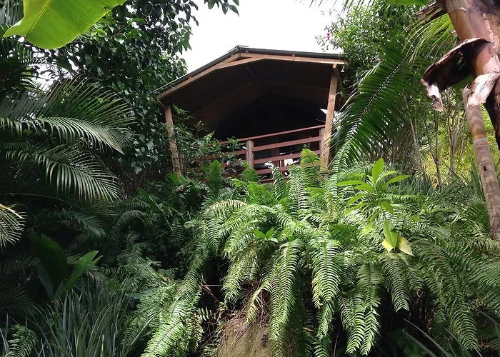 A Peace In Paradise * Anse Royale